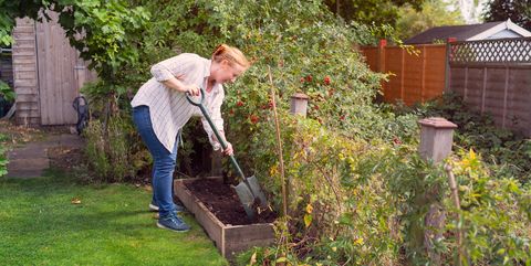Your Guide To Ing A Compost Bin, Garden Compost Bin Argos