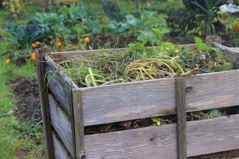 Compost Heap compost heap