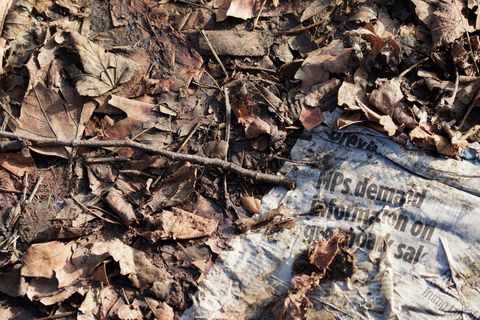 newspaper in compost
