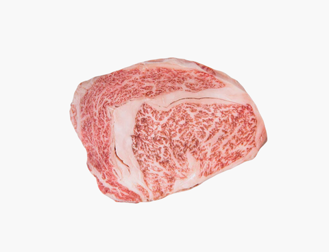holy grail maezawa beef