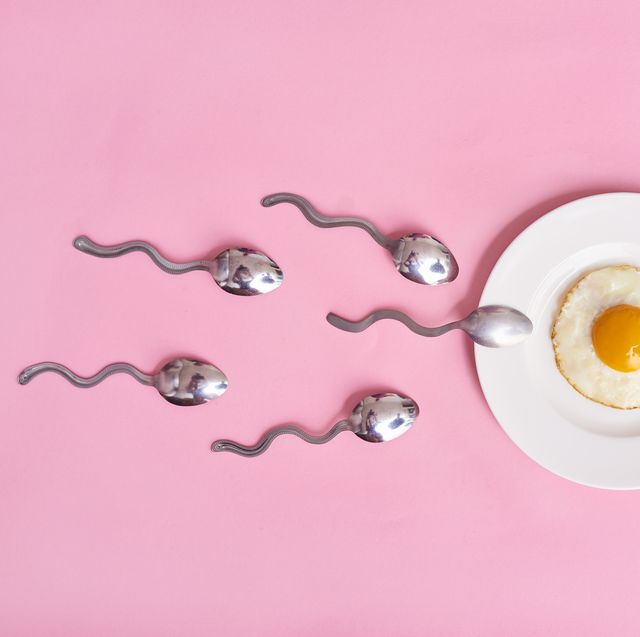 conception of fertilization fried egg in white plate, and spoon