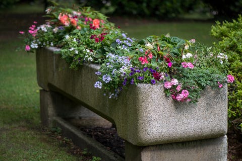 Planter Box Ideas To Inspire You Source From housebeautiful.com Image Size Width 320 x Height 480 Planter Box Ideas To Inspire You