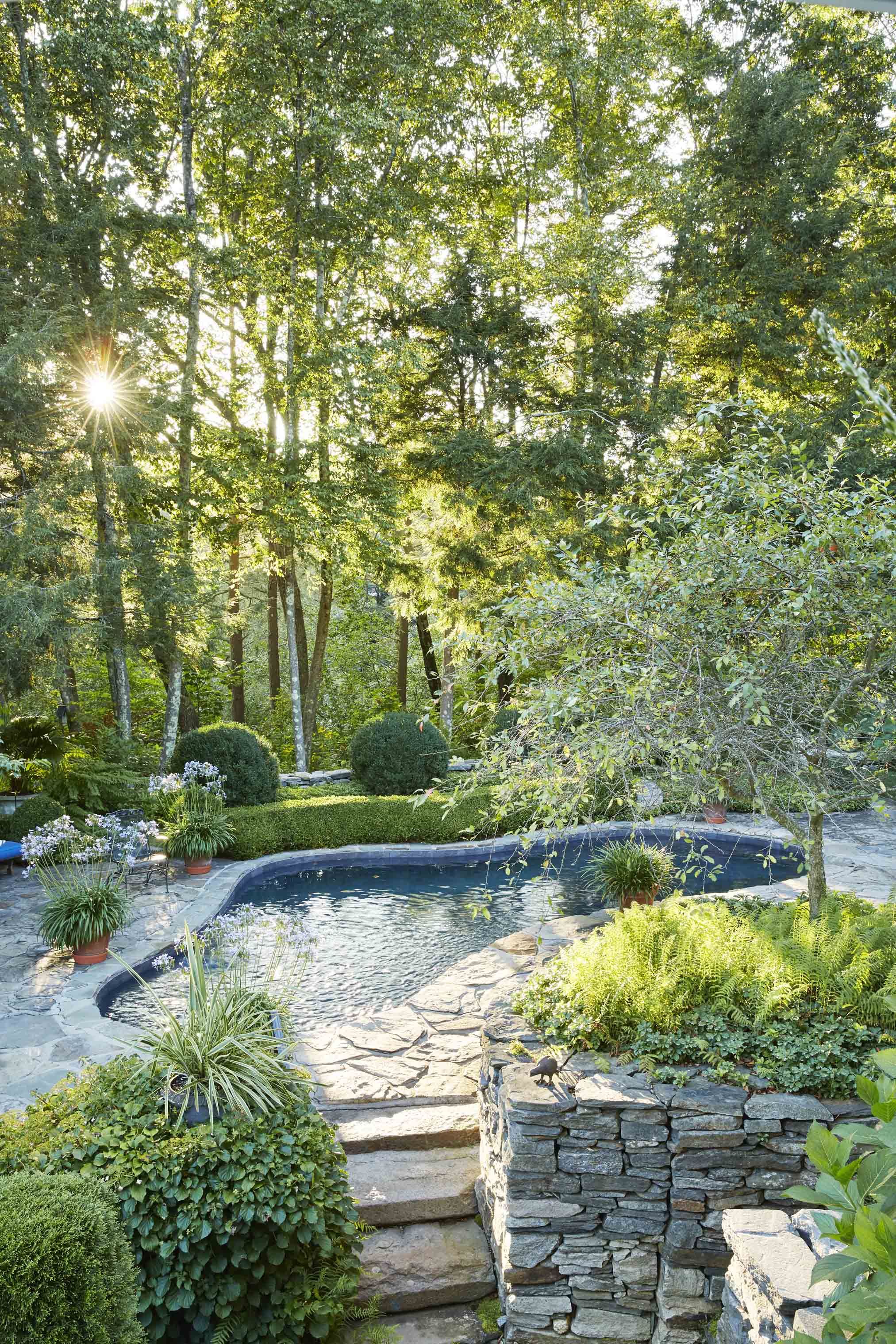 beautiful backyard swimming pools