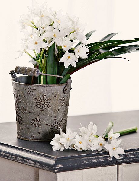 Flower, Flowerpot, White, Floristry, Cut flowers, Plant, Flower Arranging, Floral design, Bouquet, Flowering plant, 
