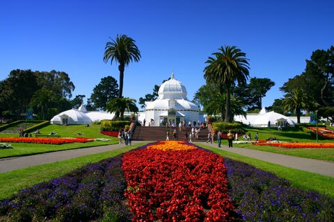 conservatory of flowers, san francisco