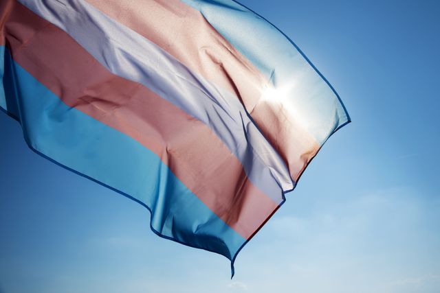conversion therapy ban in the uk does not cover trans community
