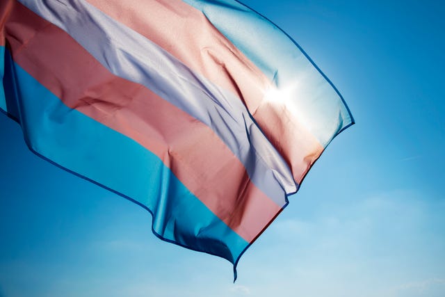 conversion therapy ban in the uk does not cover trans community