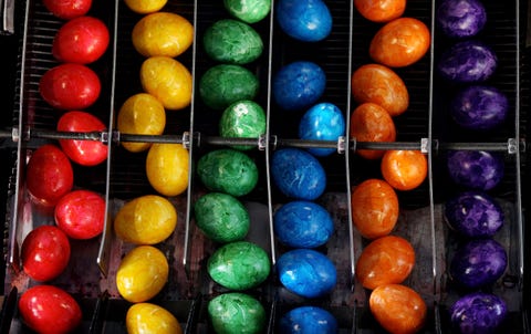 Bavaria's Biggest Coloured Eggs Producer