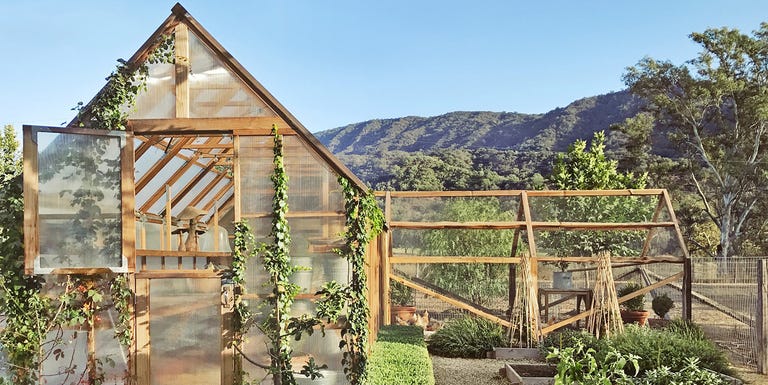24 DIY Chicken Coops You Need In Your Backyard - DIY Chicken Coop Plans 24 DIY Chicken Coops You Need In Your Backyard - DIY Chicken Coop Plans