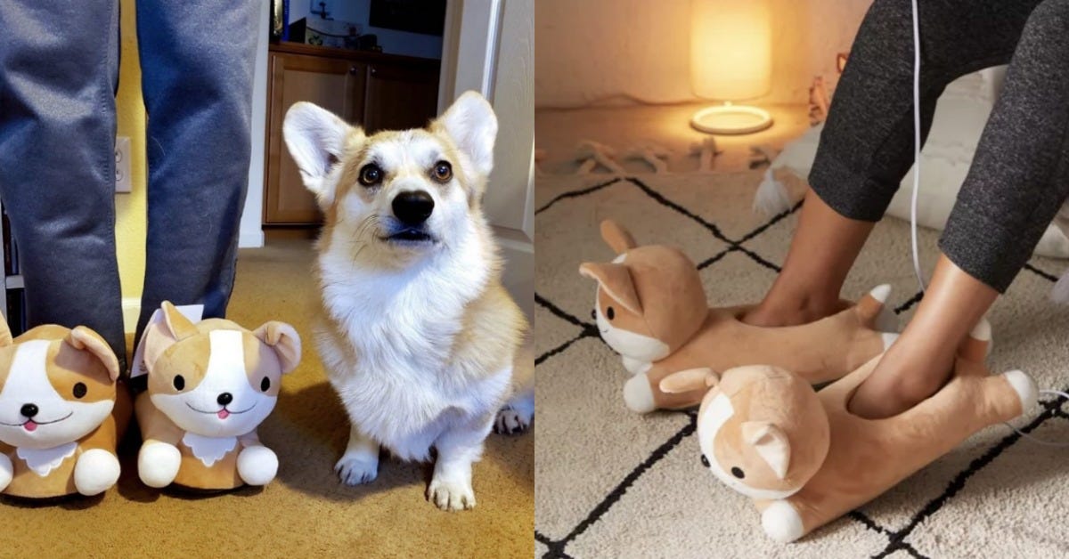 These Adorable Corgi Slippers Are Heated So Your Toes Will Never Go Cold Again