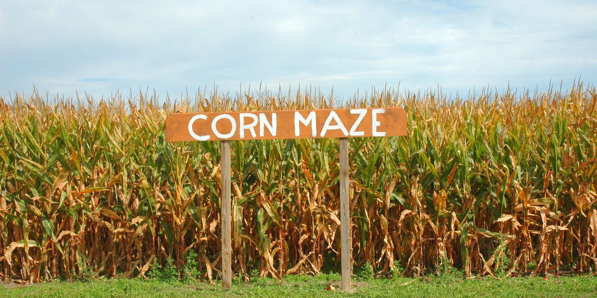 25 Best Corn Mazes Near Me - The Best Haunted and Family ...