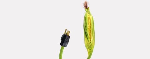 Corn on the Cord