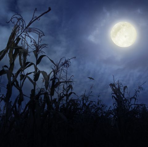 When and How to See September's Full Corn Moon in 2020