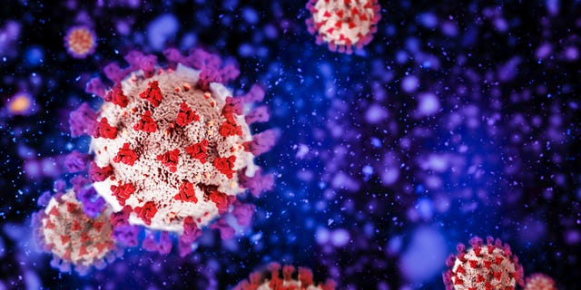 Coronavirus coronavirus