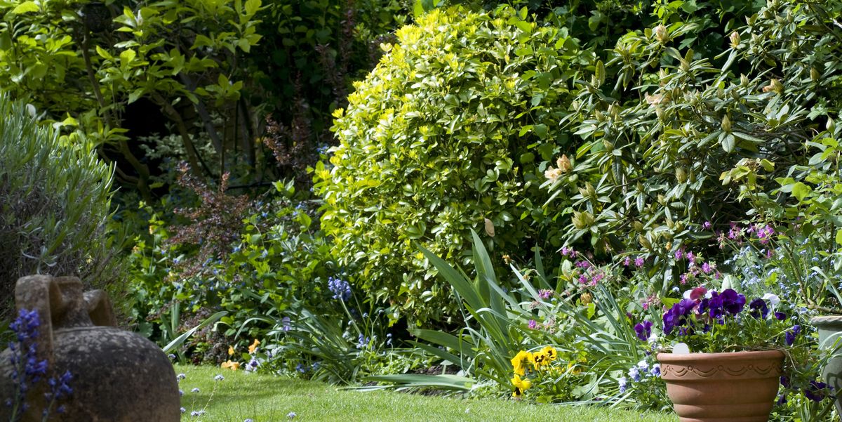 South-Facing Gardens Boost House Value By £22,695, Rightmove Reveal