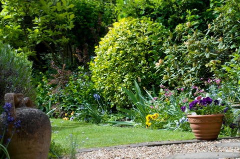 Chelsea Flower Show Launches Lockdown Online Garden Competition