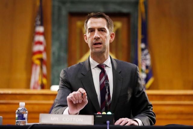 sen tom cotton, r ar speaks during a senate intelligence committee nomination hearing for rep john ratcliffe, r tx, on capitol hill in washington,dc on may 5, 2020   the panel is considering ratcliffes nomination for director of national intelligence photo by andrew harnik  pool  afp photo by andrew harnikpoolafp via getty images