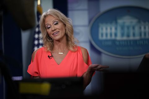 White House Adviser Kellyanne Conway Interviews With Fox News At The White House