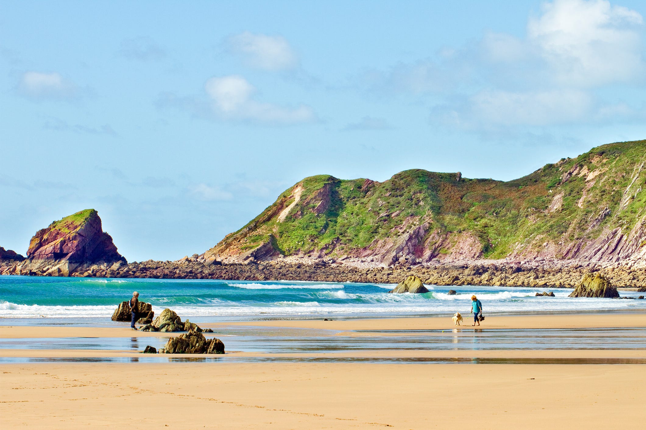 what beaches in england allow dogs