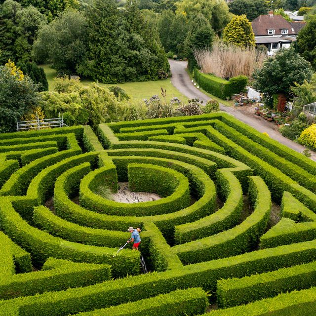 pictured richard bushby tends to the mazegarden that himself and his wife have made in their own backgardena maze ing  a couple have planted a stunning maze modelled on that seen at the castle where anne boleyn lived   in their own back garden   former horticulturalist richard bushby and his wife sandra, a former legal secretary, have spent thousands of hours over two decades crafting their maze to look like the one at hever castle, kent, which is almost 120 years old  situated south of chichester in sidlesham, west sussex, their garden   developed by the husband and wife over 30 years   spans two and a half acres   although mr bushby, a 71 year old landscape maintainer, admits they only have a house and not the grand mansion, the intricate passages of their maze stretches over an area of over 7,000 square feet   see our copy for details© jordan pettittsolent news  photo agencyuk 44 0 2380 458800