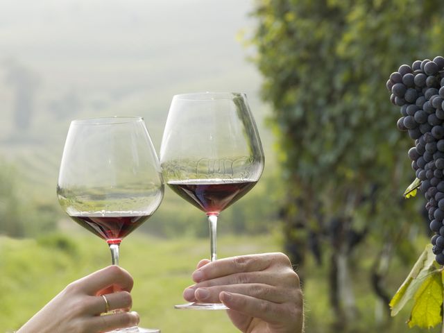 couple toast with red wine in vineyard
