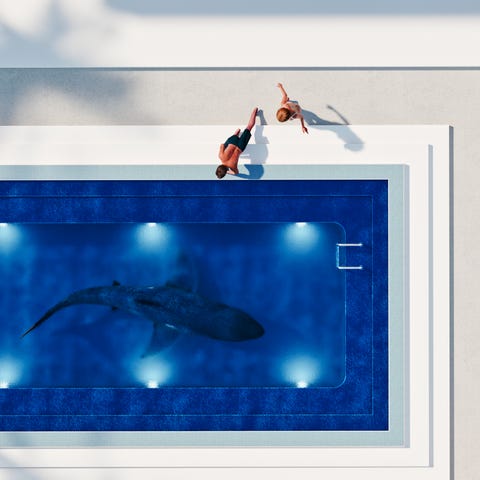 Couple watching shark in swimming pool