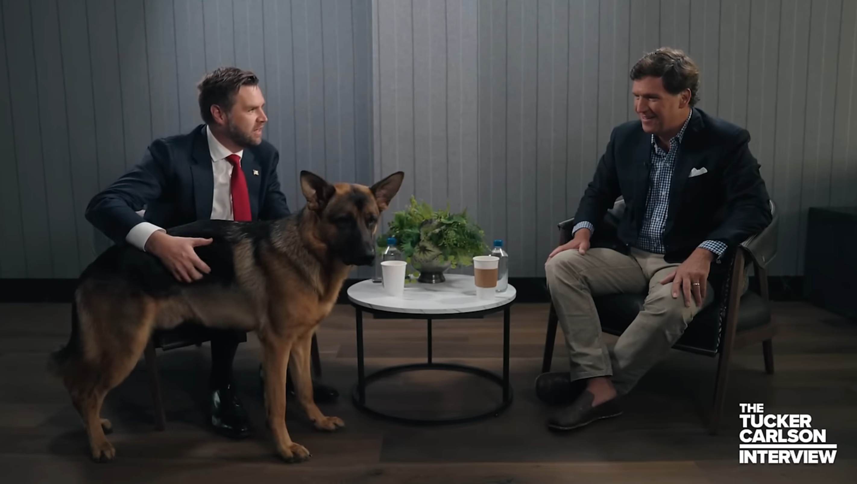 What's Up With JD Vance's Weird Relationship With His Dog?