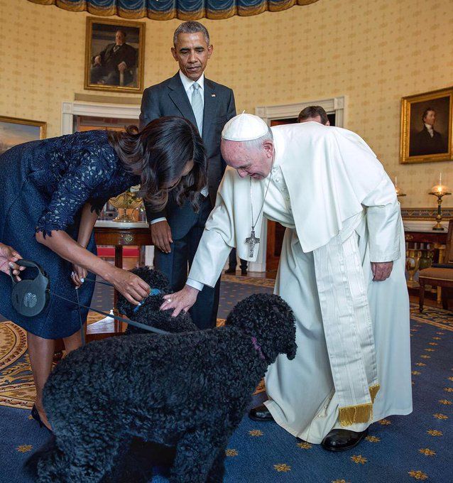 21 Adorable Photos of the Obamas' Dogs Bo and Sunny