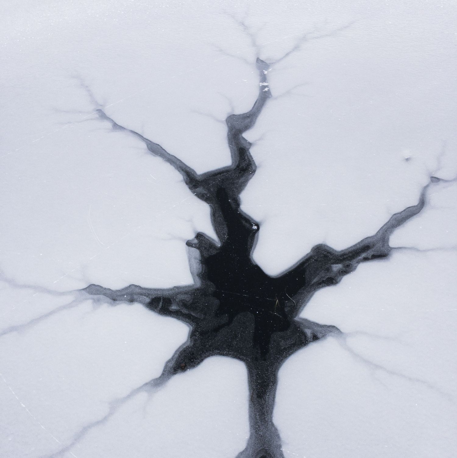 A Mysterious Lifeform Has Emerged From the Bottom of a Lake That Should Be Entirely Frozen