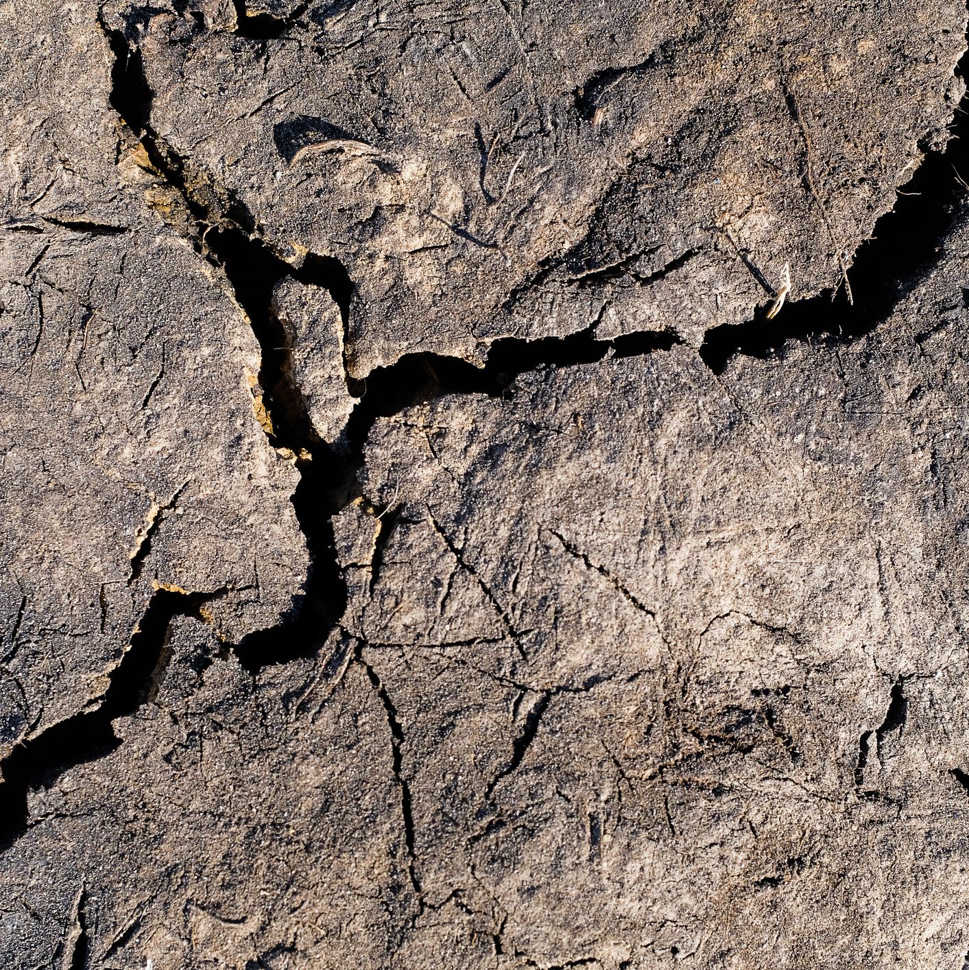 A 7.7-Magnitude Earthquake Split the Ground—And Brought an Ancient Structure to the Surface