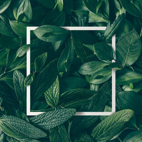 Creative layout made of flowers and leaves with paper card note. Flat lay. Nature concept