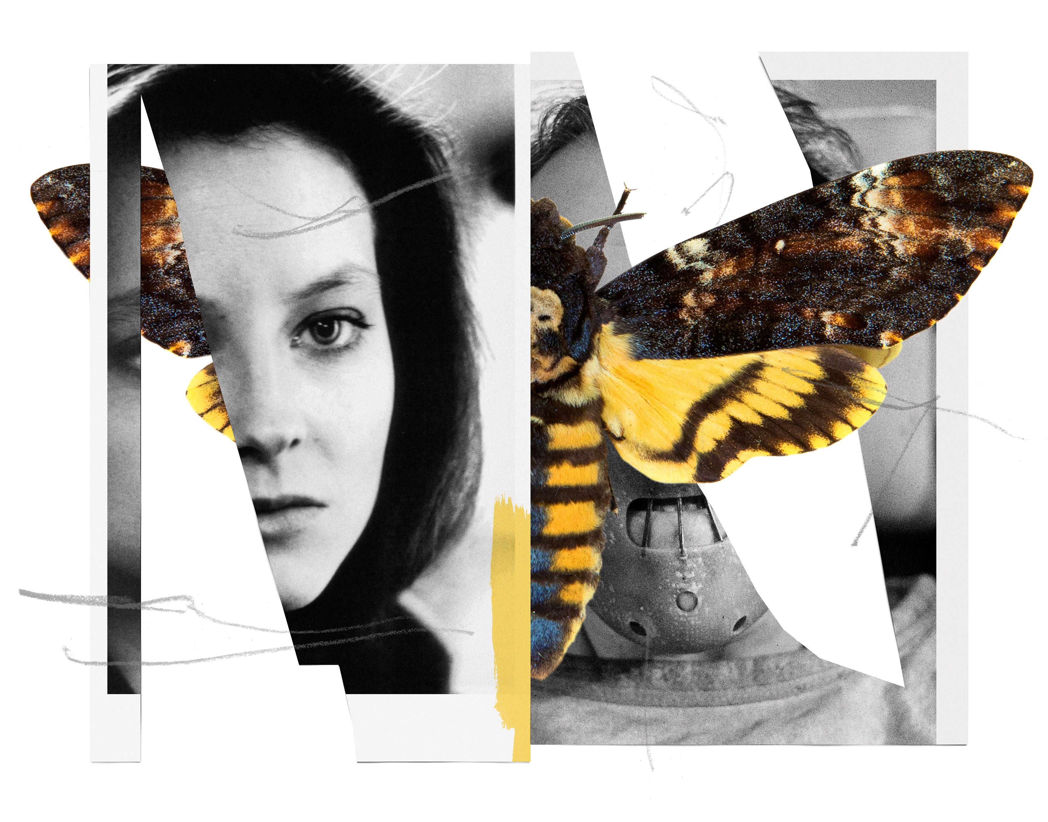 Реферат: The Silence Of The Lambs By Thomas