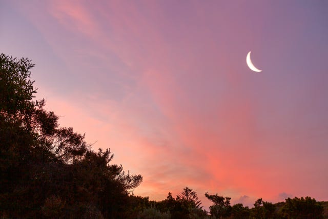 June 2020 S New Moon In Cancer How It Affects Your Zodiac Sign