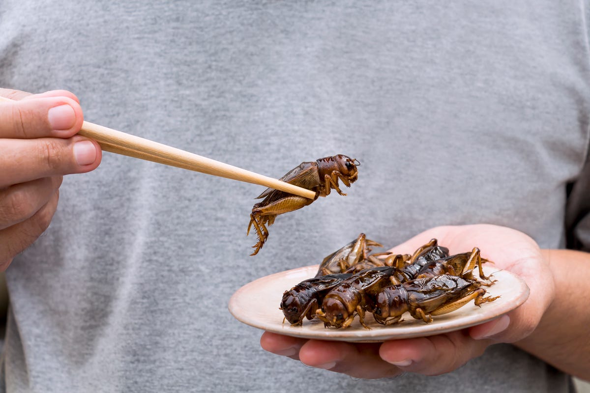 Put Down That Protein Shake, Because Eating Crickets Is Good for Your Heart