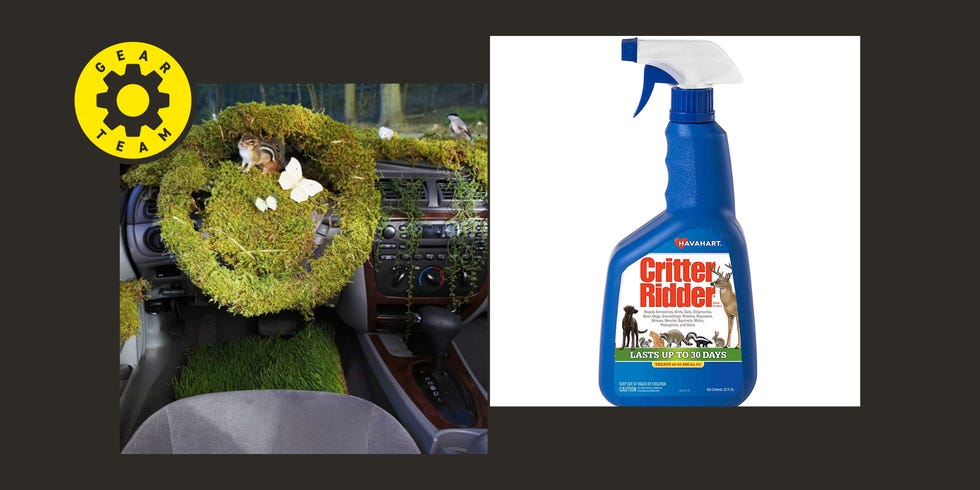 Keep Critters from Chewing Your Car Parts with These 8 Products