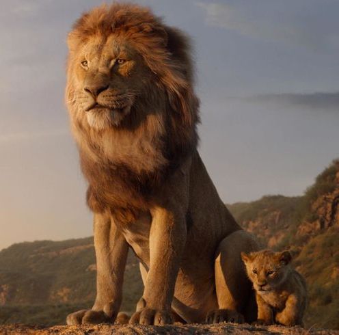 關於真人版《獅子王》的5大經典片段，還有你沒發現的這些細節！