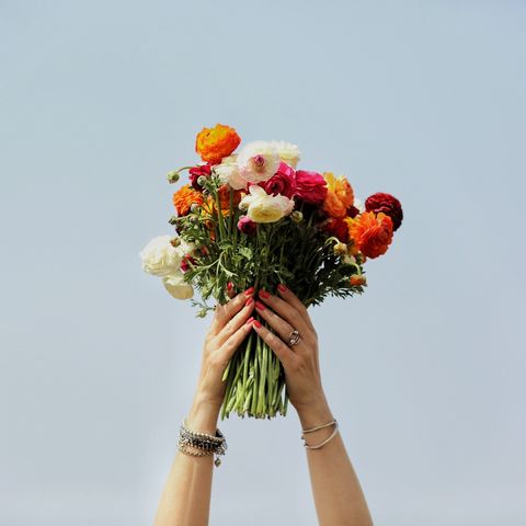 Cropped Hands Holding Bunch Of Flowers Against Sky