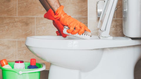 cropped hands of person cleaning toilet bowl with royalty free image