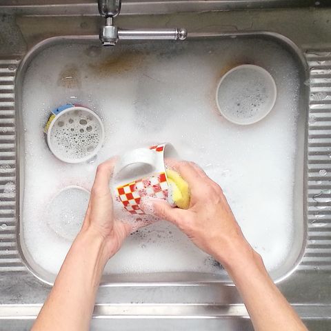 This Sustainable Dish Cleaning Hack Will Save Your Life - 480 x 480 jpeg 36kB