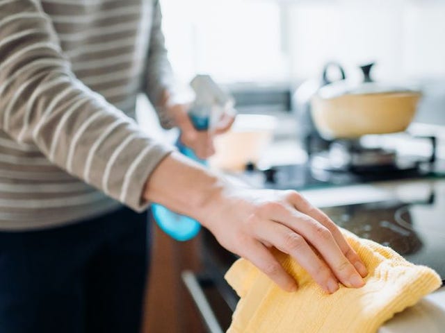 キッチンのコバエを簡単に駆除する原因と対策方法とは Elle Gourmet エル グルメ キッチンのコバエを簡単に駆除する原因と対策方法とは Elle Gourmet エル グルメ