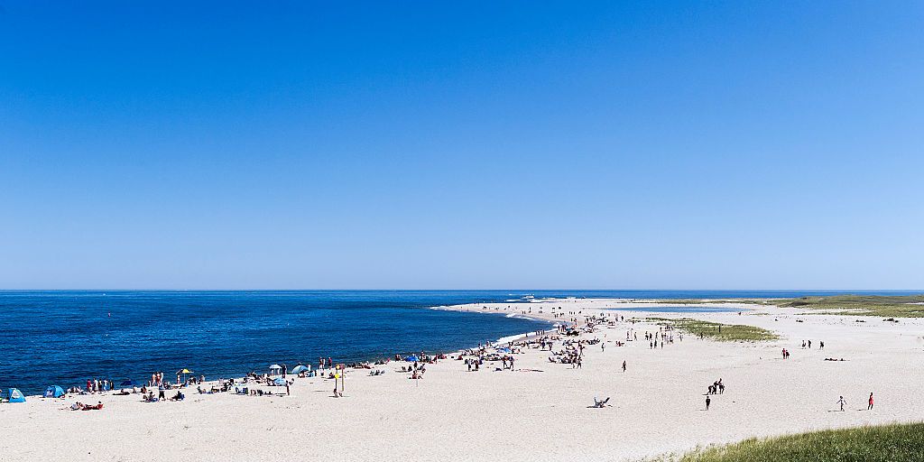 On Cape Cod, Locals and Summer Folks Have Long Leaned on Each Other. Now There Is Only Fear.