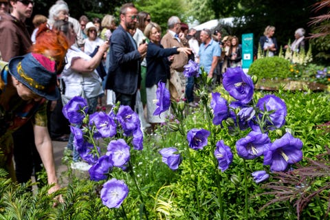 crowds of visitors watch garden designs at the rhs chelsea flower show opens in london, england on may 22, 2019 photo by dominika zarzyckanurphoto