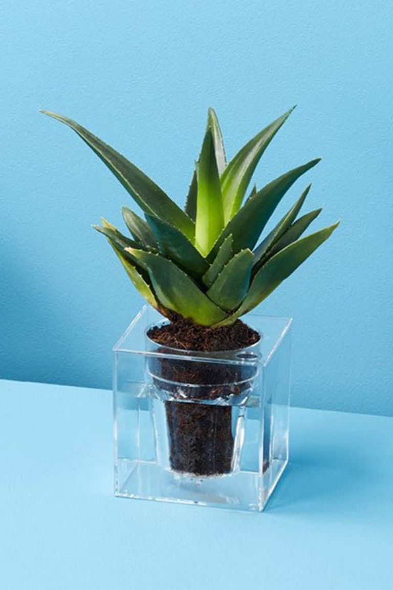 18 Stylish Indoor  Flower  Pots  Affordable Indoor  Pots  for 