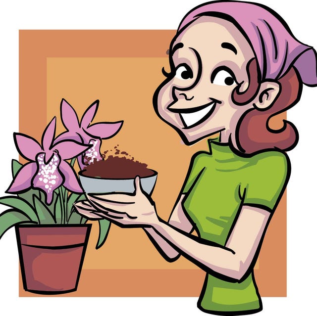Cuidar las plantas Cuidar las plantas
