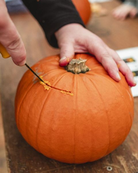 cutting into the pumpkin