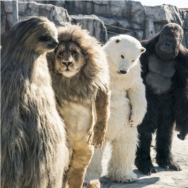 動物園驚見超巨大樹懶 雞不可失 團隊新作 超人氣動物園 讓網友笑到爛