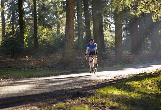 cyclist riding on road through forest