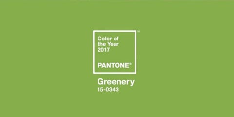 13 Perfect Reactions To Pantone S 2017 Color Of The Year Twitter It S Official Greenery Is Pantone 2017 Color Of The Year
