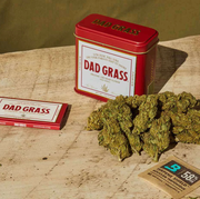 Dad Grass dad grass