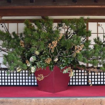 年末年始におすすめ いけばな展5選 婦人画報115周年イベント 京都に池坊の立花も 年末年始におすすめ いけばな展5選 婦人画報115周年イベント 京都に池坊の立花も